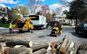 Best Tree Mulching  in Ceres, CA